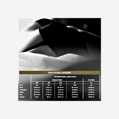 sexy shop Body Attico Fancy Bodystock Penthouse Lingerie Nero S/M/L - Sensualshop toys